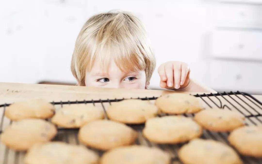 探索自然美景之旅,闲聊最新发展,寻找内心平和之地