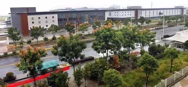 江苏世硕电子最新日常趣事概览