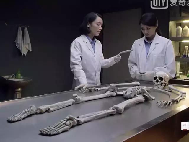 易晴最新动态,拥抱自然,内心宁静之旅