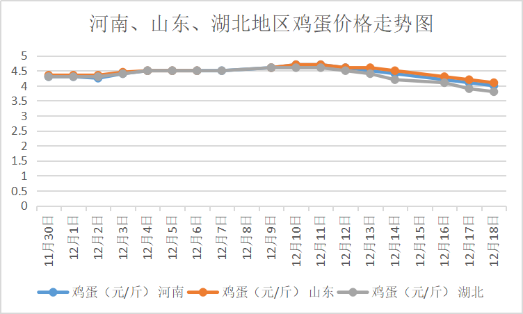 湖北鸡蛋价格揭秘，一段温馨的友情故事同步上演