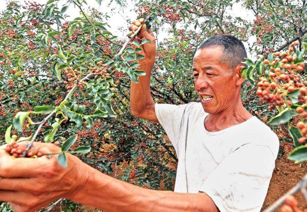 垣曲最新新闻回顾，时代变迁中的发展脉络探索