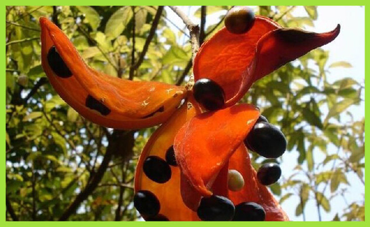 最新奇的东西探索，创新之物的魅力