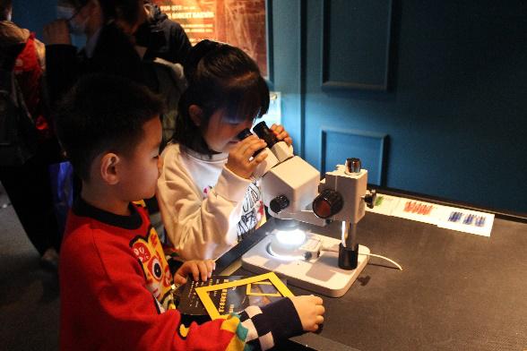 大英万象国际最新动态,探索自然美景之旅,寻觅内心平和之地