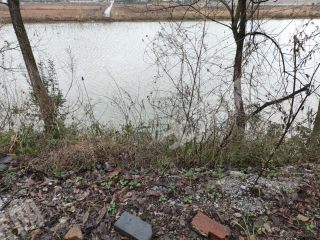 汉中坑塘吧最新动态更新