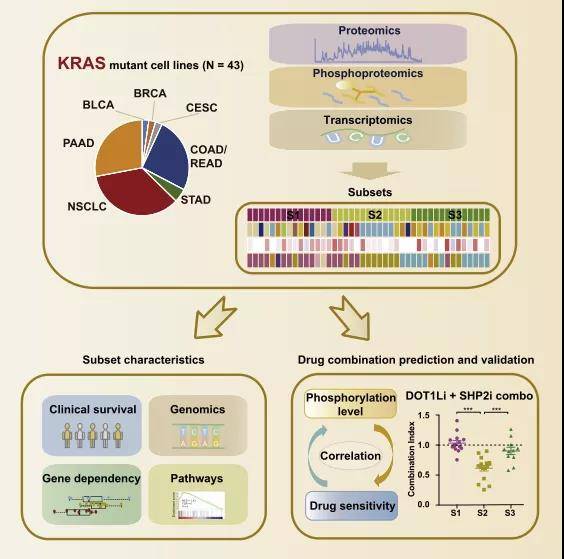 看香港精准内部资料大全最新,策略规划_OFQ23.994护眼版