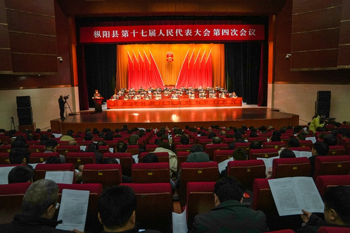 枞阳在线,小城温馨日常的最新消息与新闻汇总