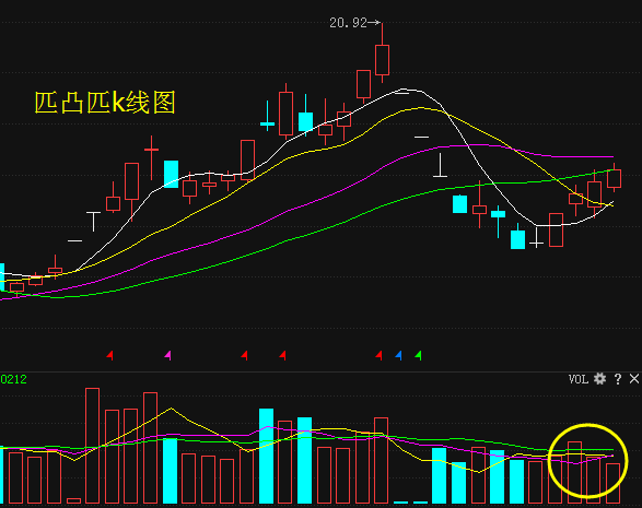 匹凸匹最新消息及现状分析展望,现状分析与未来展望