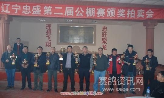 辽宁忠盛公棚最新动态，友情与陪伴的温暖故事更新揭秘