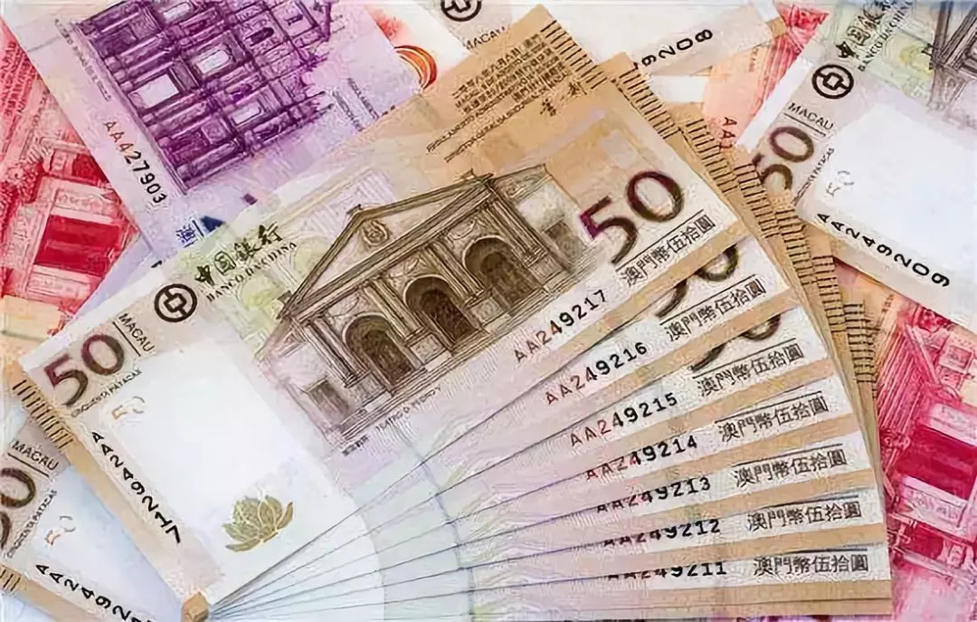 澳门最牛三肖三码生肖,高度协调实施_YCP23.793创意版