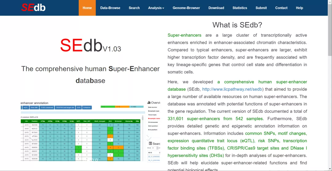 澳门历史记录查询2024,实践数据分析评估_TGG23.175触感版