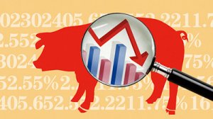 农业部最新猪价新闻,家园猪价动态与爱的传递