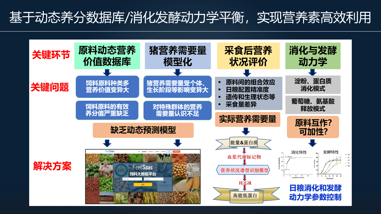 2024精准管家婆一肖一马,市场需求解答_YQQ79.160可穿戴设备版
