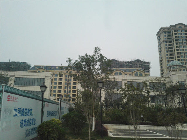 玉林杏林居最新消息,重磅更新玉林杏林居最新消息大揭秘✨