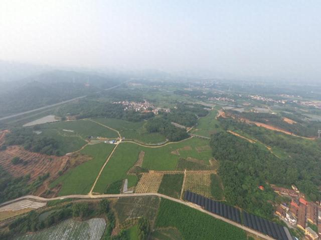 花都狮岭镇最新动态,学习变革春风,成就自信与繁荣之花