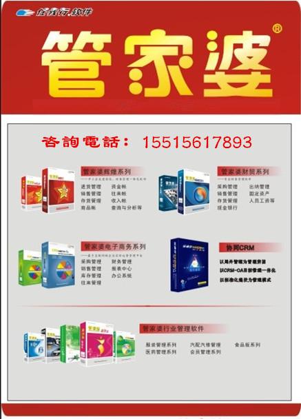 管家婆2024一句话中特,实际调研解析_RKO79.133限定版