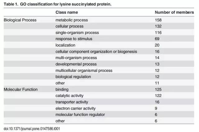 澳大利亚6合资料2024最新版,精细化方案决策_WWV79.434珍藏版
