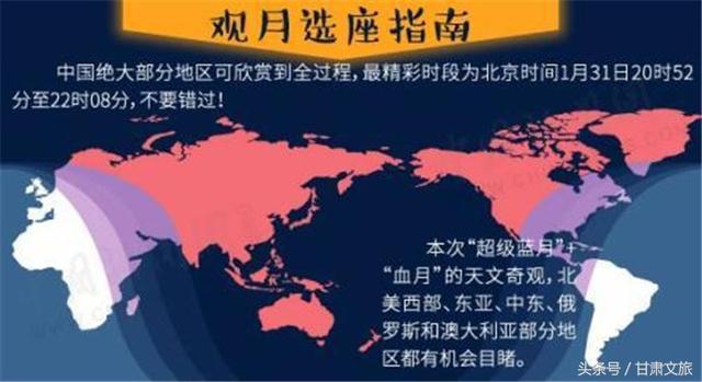 澳门跑狗图2024年今晚,互动性策略设计_CHV79.901探索版