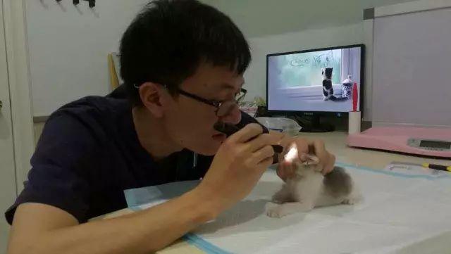 老牌网红瞳孔最新视频，视觉盛宴还是商业化产物？