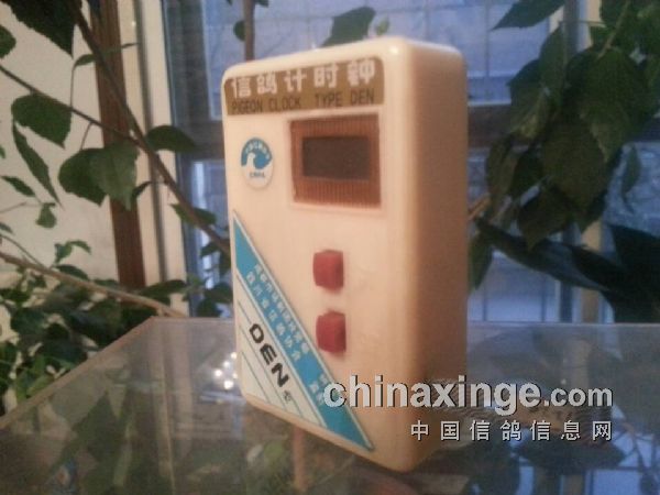 爱羽扫描鸽钟最新报价，助力赛鸽事业腾飞！