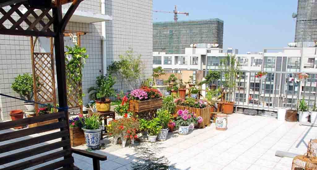 最新丁家园，塑造理想生活新典范