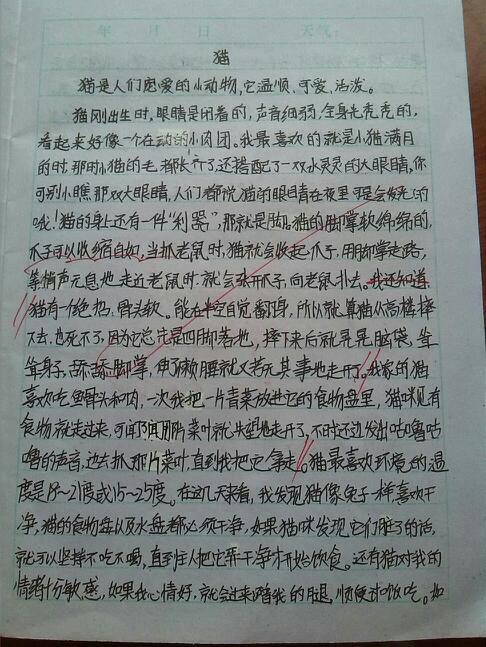 最新新闻精选作文,探索自然美景之旅,追寻内心平和之乐