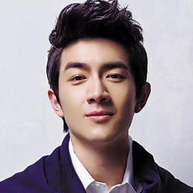 辽宁男明星,星光璀璨的摇篮之地