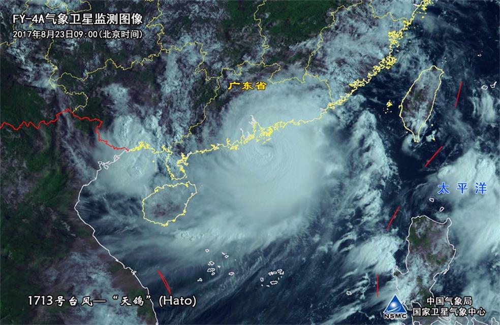 天鸽风台最新动态更新