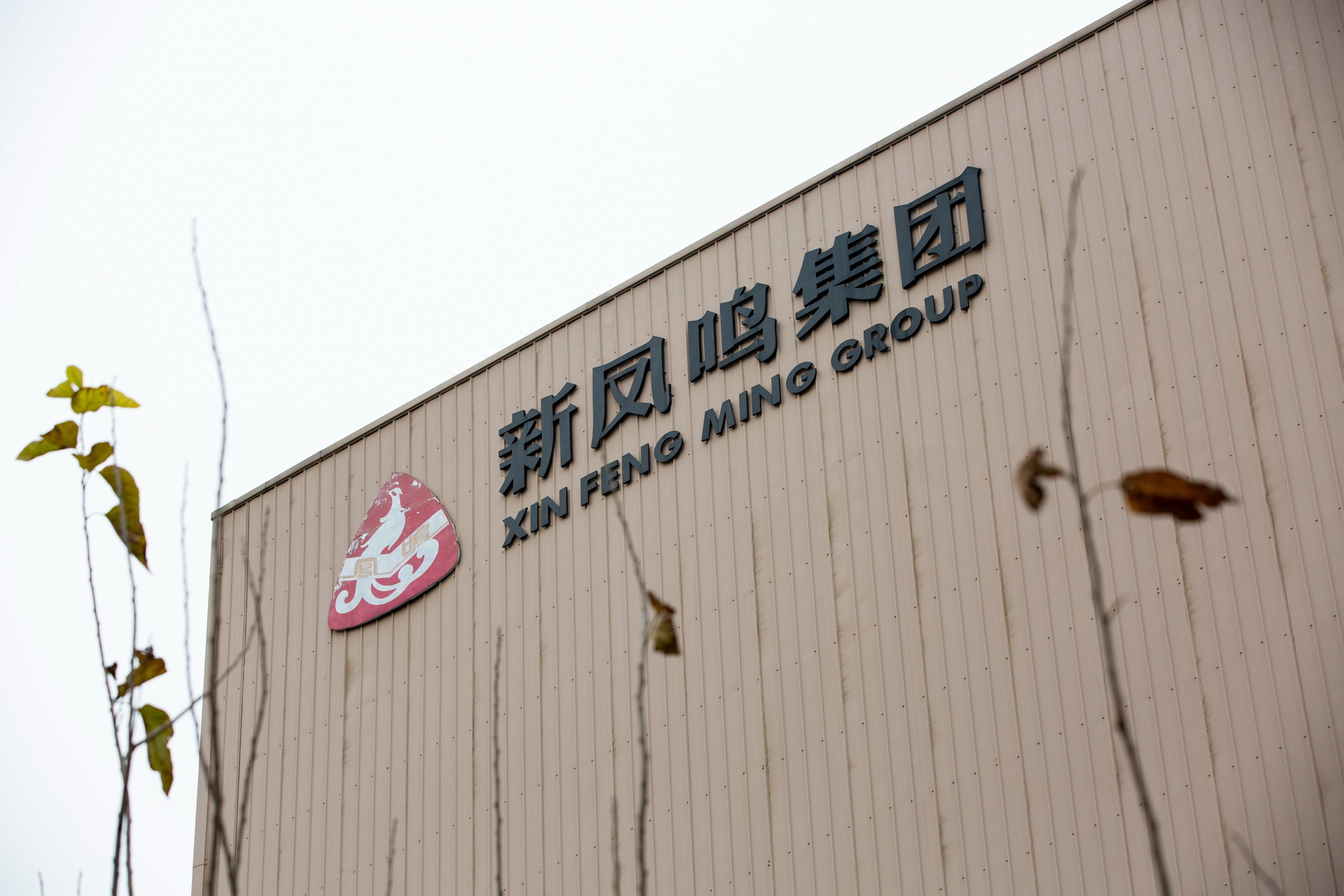 新凤鸣最新动态更新