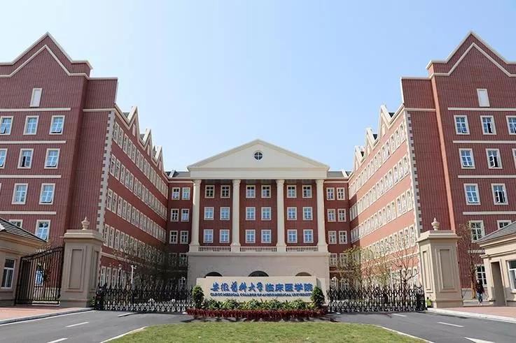 小巷中的教育宝藏,最新教师招聘启事