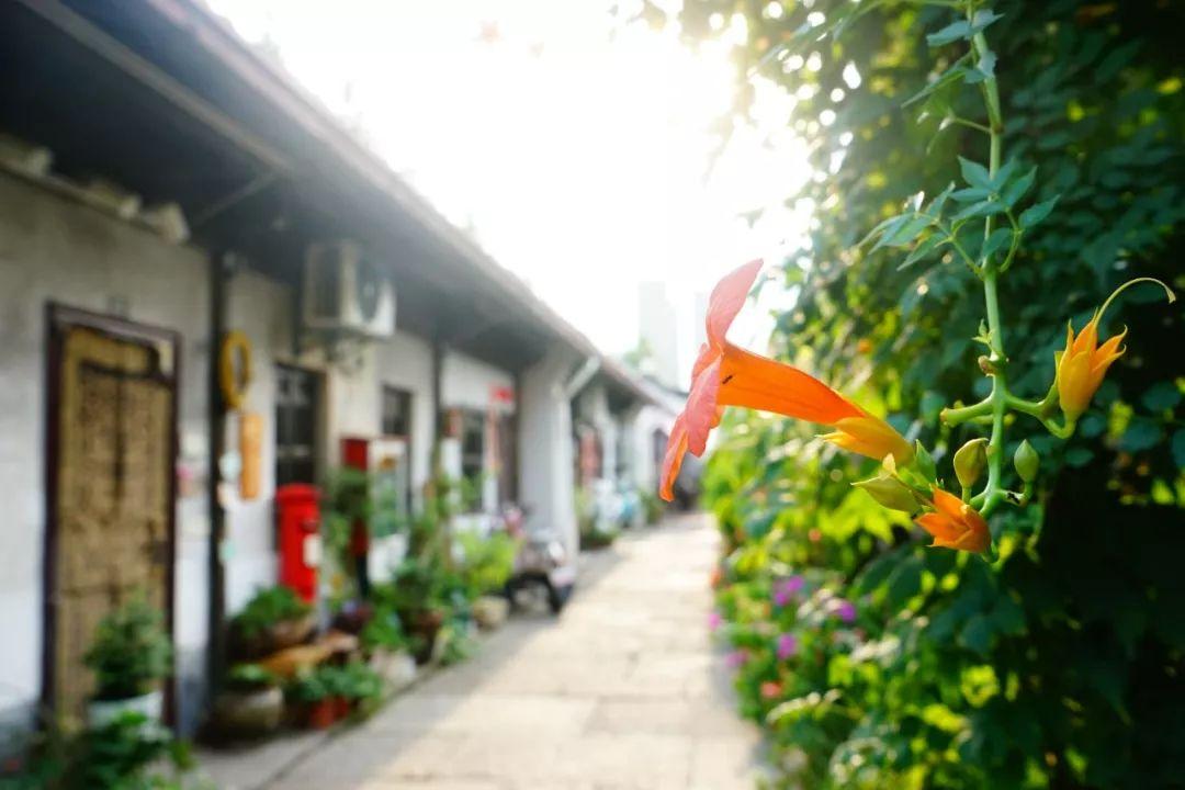 宿连运河最新动态及小巷独特风味探寻新闻。