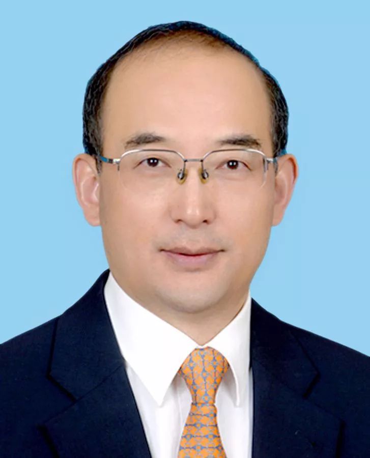 河南省副省长名单揭秘,背后的趣事与情感纽带