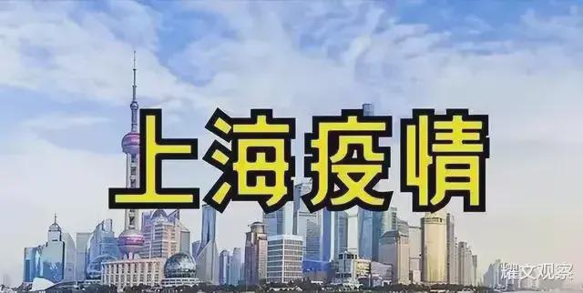 全球抗疫进展，最新疫情消息与关键洞察深度解析