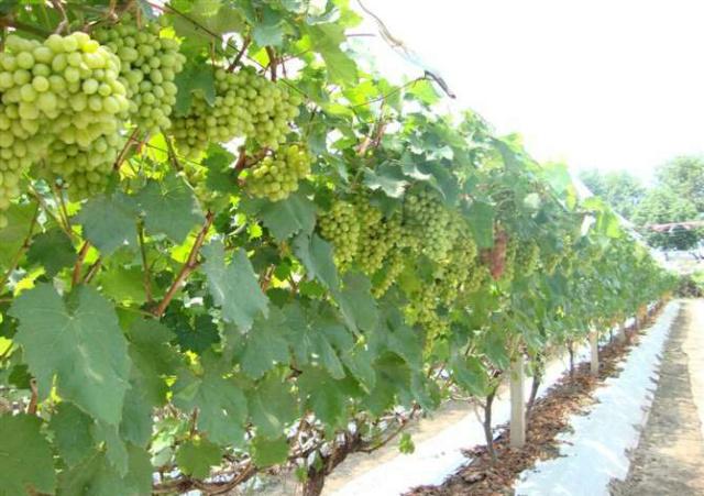 最新人工智能技术,背景、发展、影响及在当代社会的地位