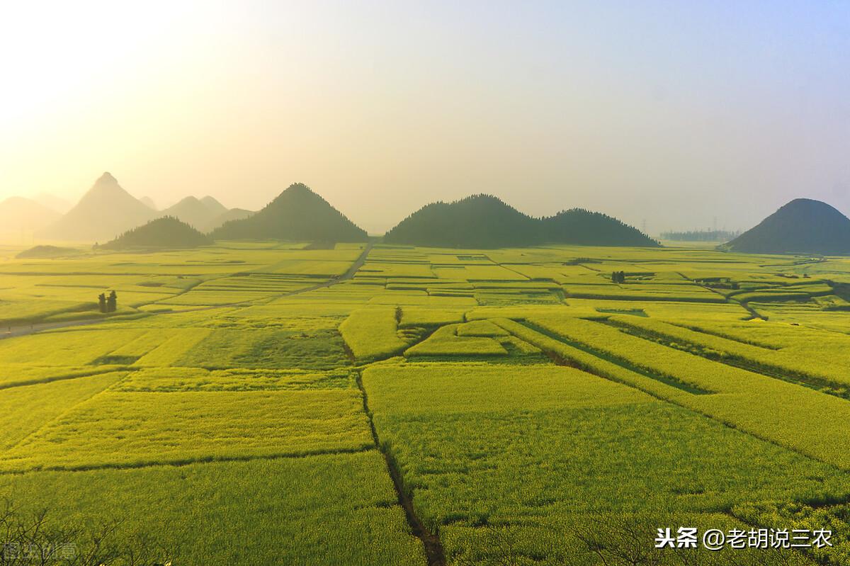 最新农村耕地通知背后的趣事与情感纽带揭秘