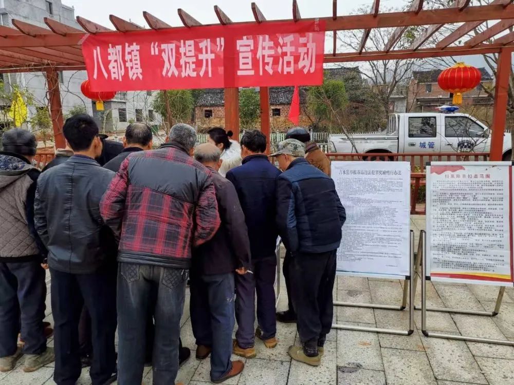 八都最新新闻动态速递📣📢