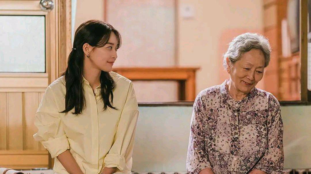 裴智秀最新韩剧,与自然共舞,探寻内心平和与喜悦的奇妙旅程