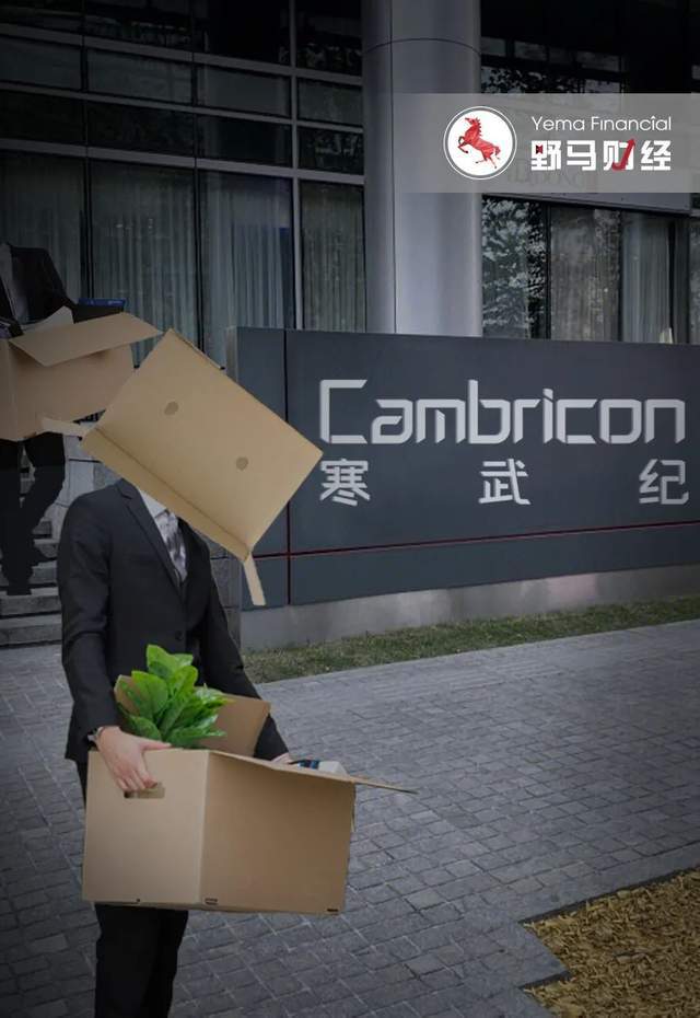 寒武纪最新报道揭秘科技时代下的温暖日常