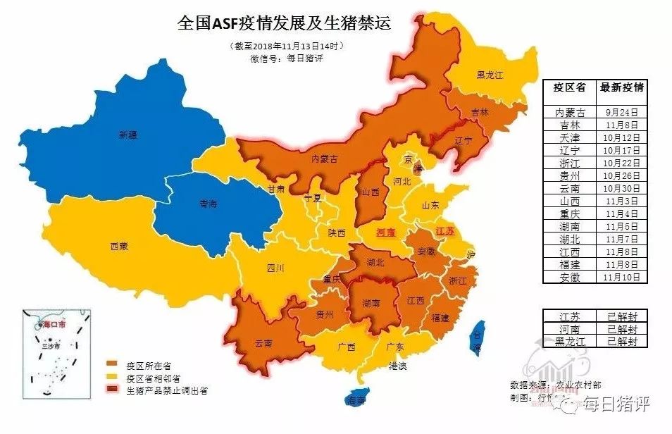 疫情最新动态与小巷中的意外邂逅