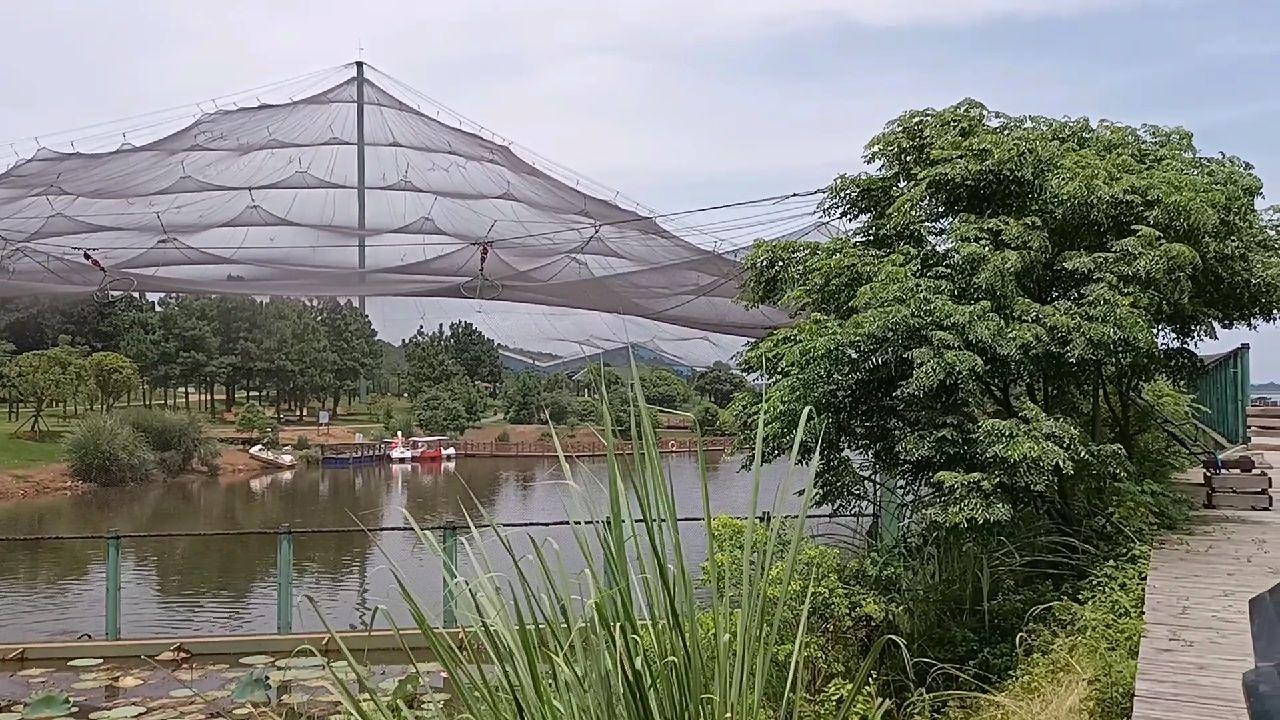 江西鄱阳湖探秘,巷弄深处的独特小店揭秘