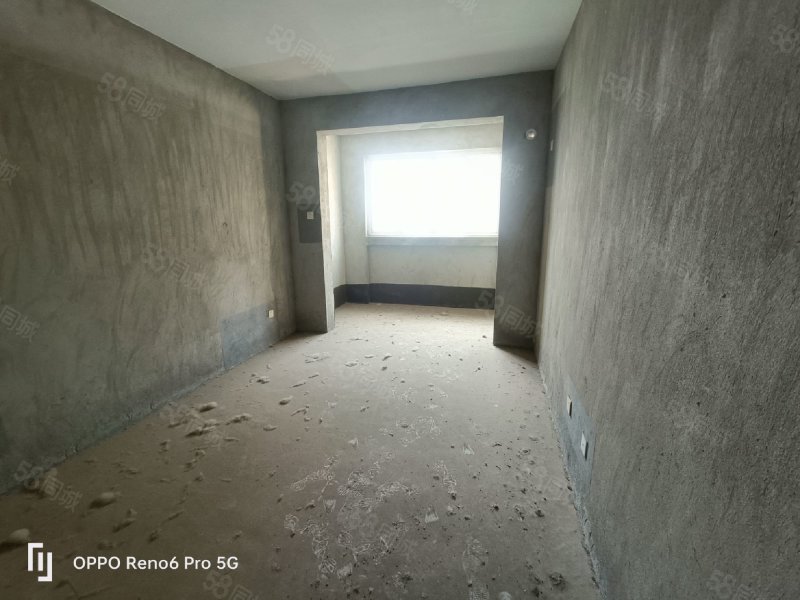 孔李苑最新进展,逐步掌握新技能的指南