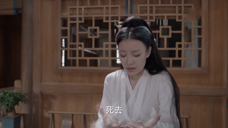 千汐九夜最新动态，探索最新趋势与魅力