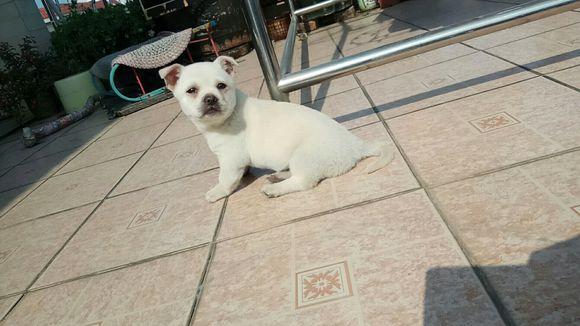 追玩最新版,小巷深处的特色小店探秘之旅