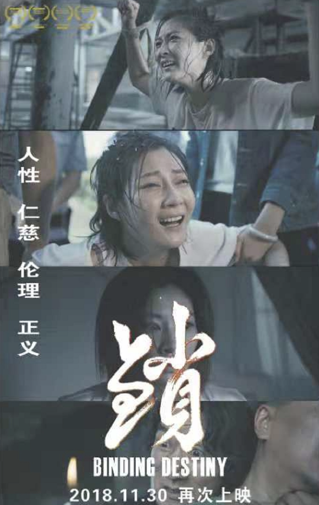 探索未知之谜的极致魅力，最新悬疑电影一览