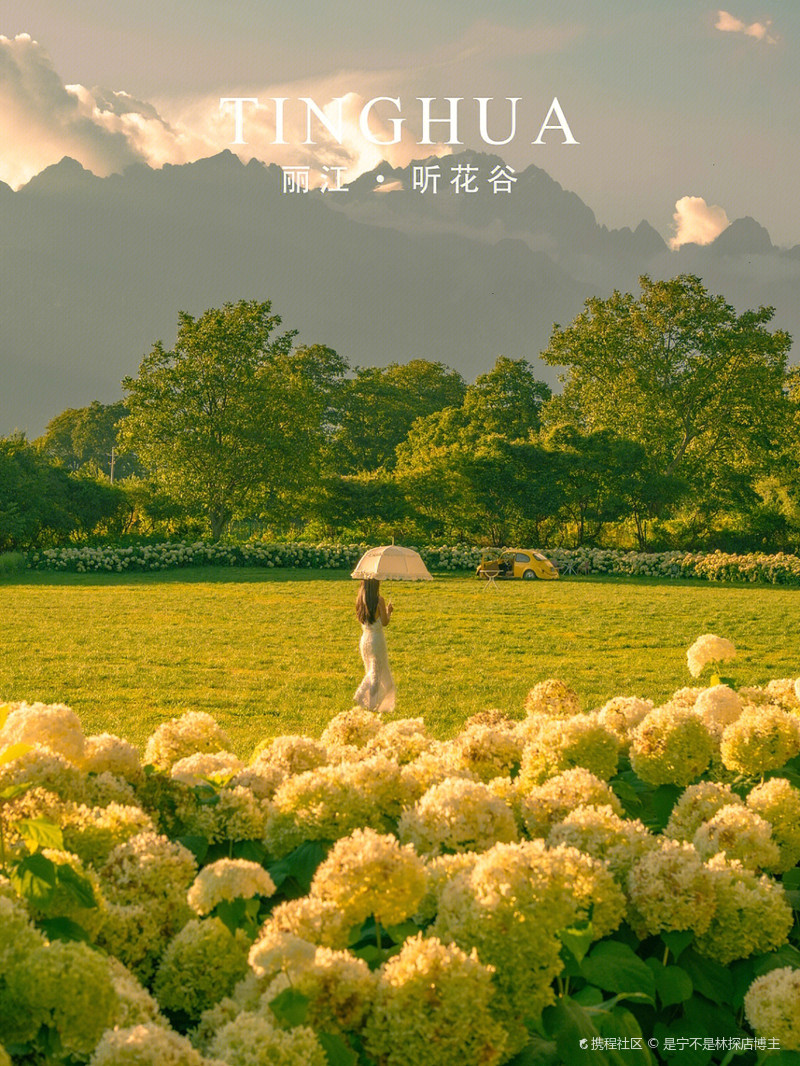 丽江听花谷最新高科技产品介绍及亮点解析
