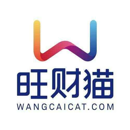 旺财猫最新动态揭秘,日常趣事与最新进展