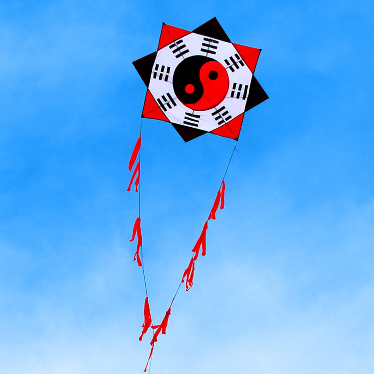最新八卦风筝,飞翔的艺术与娱乐的完美结合